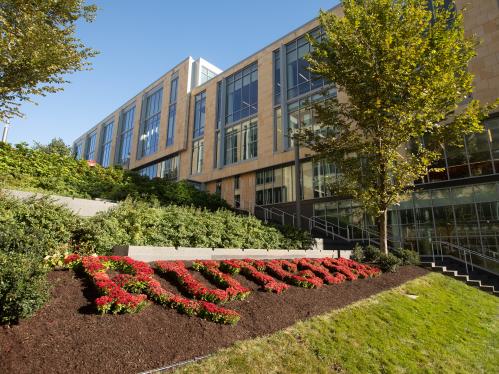 Flowers at Rutgers-New Brunswick campus