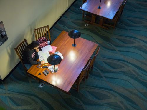 Bird's-eye view of Alexander Library